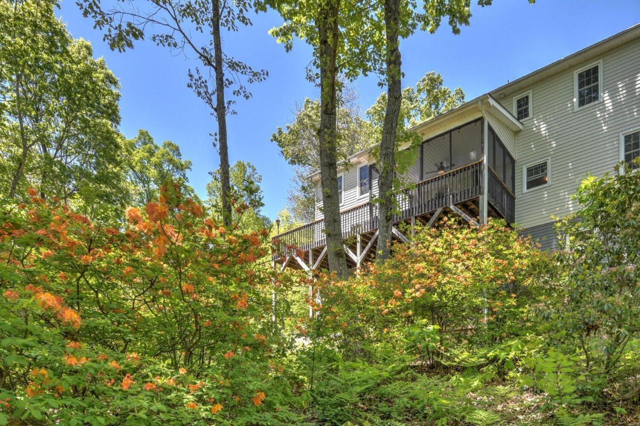 Willa 915 Town Mountain Rd Asheville Zewnętrze zdjęcie